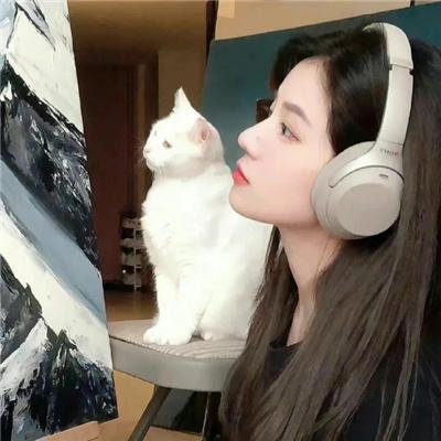 雅人韵事海报